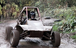 Buggies